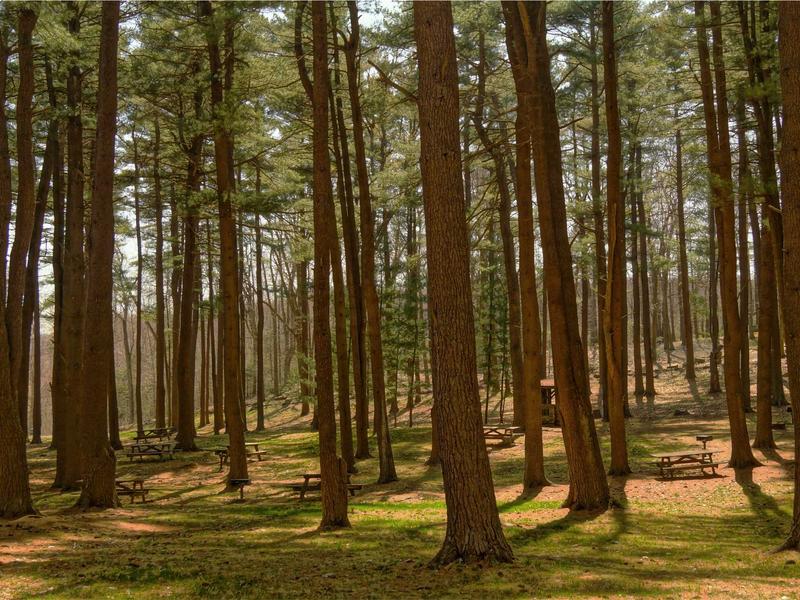 sudoku challenge mode