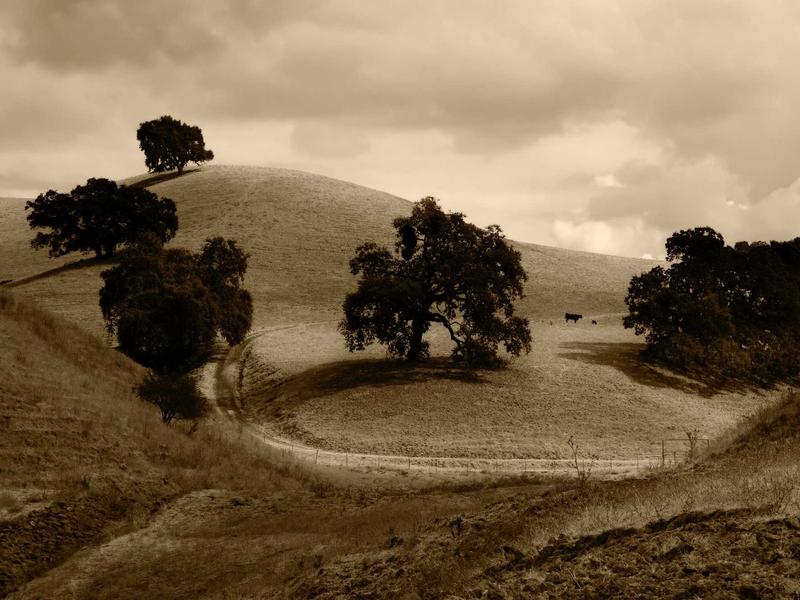 sudoku challenge mode screenshot 4